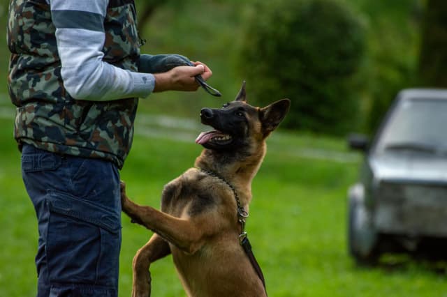 Antrenament outdoor: cum să te menții în formă în aer liber