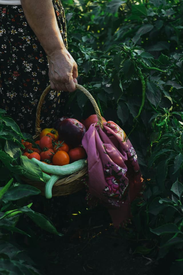 Cum să consumi mai multe fructe și legume zilnic