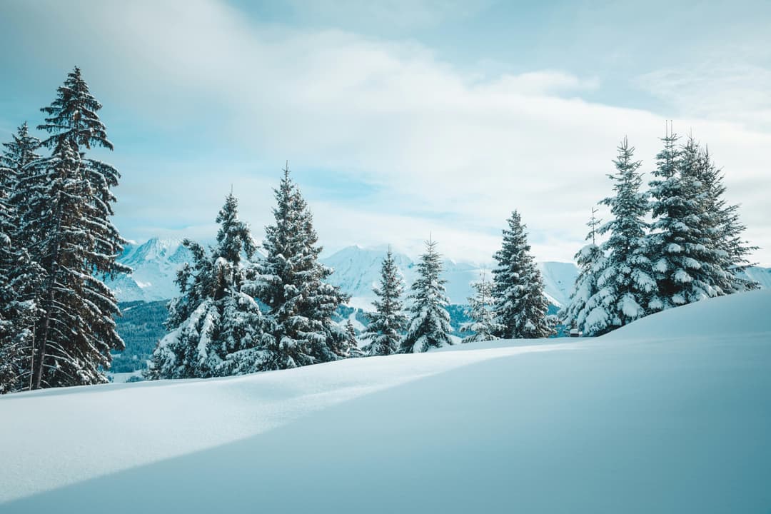 Cum îți antrenezi creierul să rămână calm în situații dificile