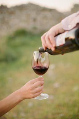 Alcoolul cu măsură: reguli pentru un stil de viață echilibrat