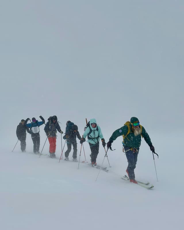Ghid de supraviețuire a sezonului alergiilor