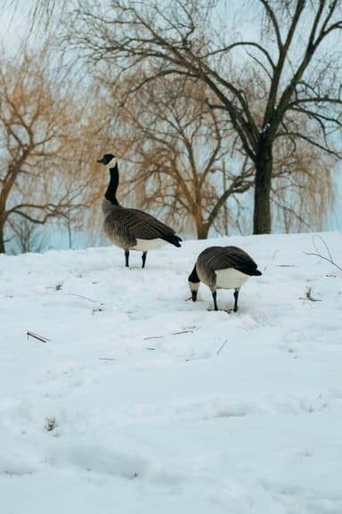 Cum să îți crești rezistența la frig — metode naturale și treptate