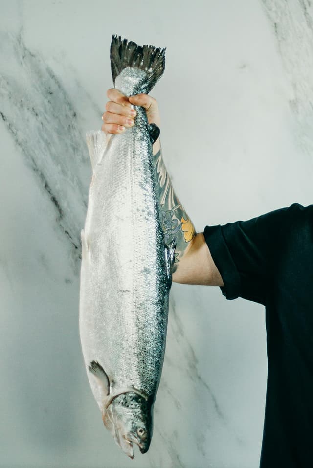 Pește gras vs vegetal: cum ne alegem sursele de omega-3