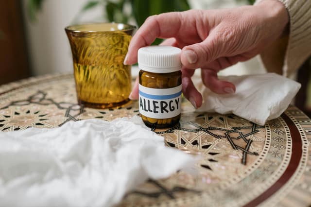 Ghid antialergii de sezon: alimente, polen și praf