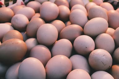 Rolul proteinelor în alimentația zilnică și sursele sănătoase