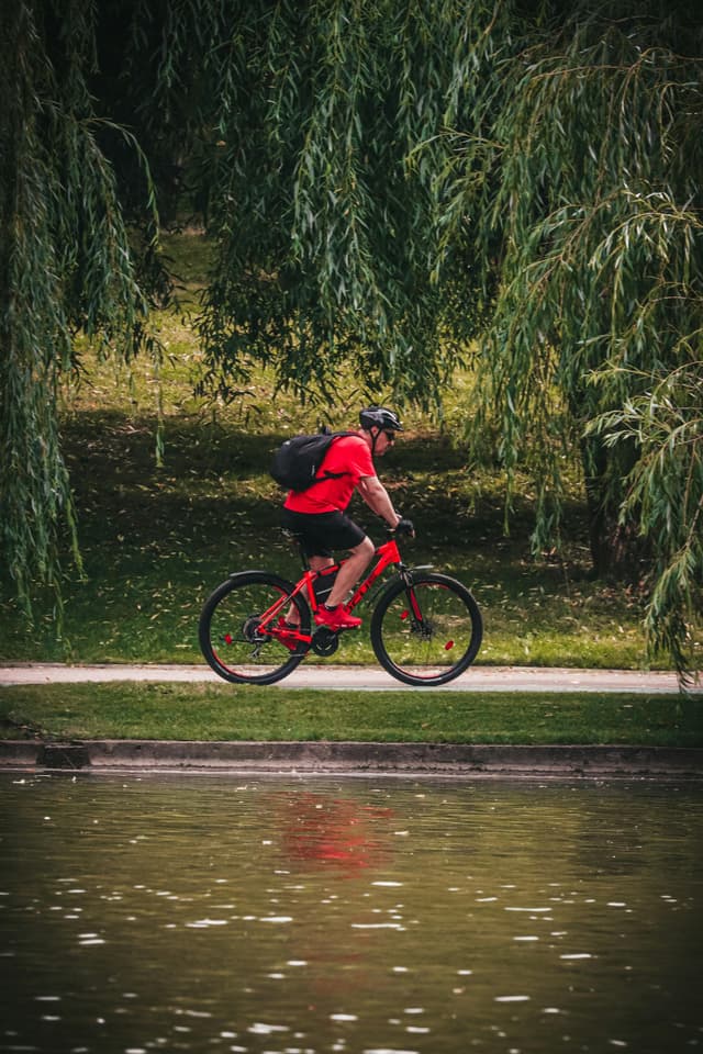 Weekend activ: plimbări cu role, bicicletă și natură urbană