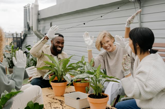 Start la grădinărit urban – soluție de wellness